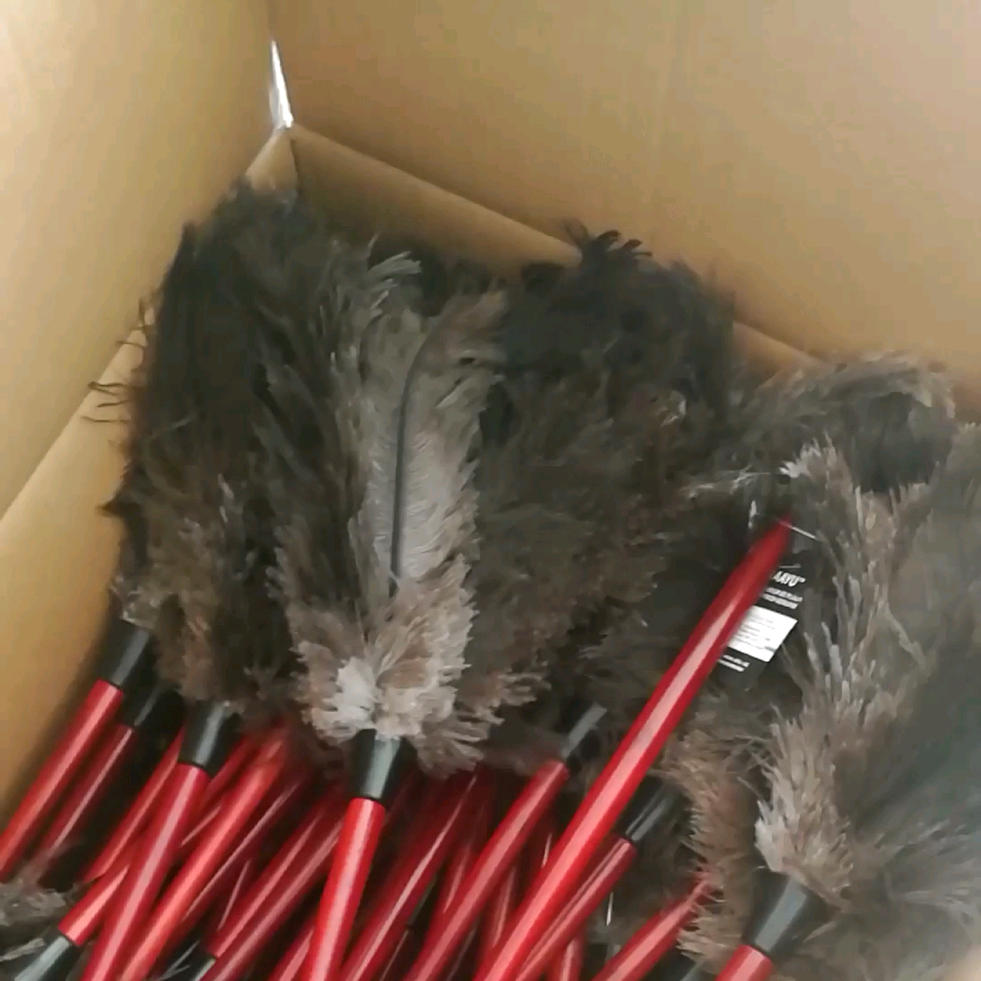 Good Quality Washable Black Ostrich Feather Duster With Long Handle