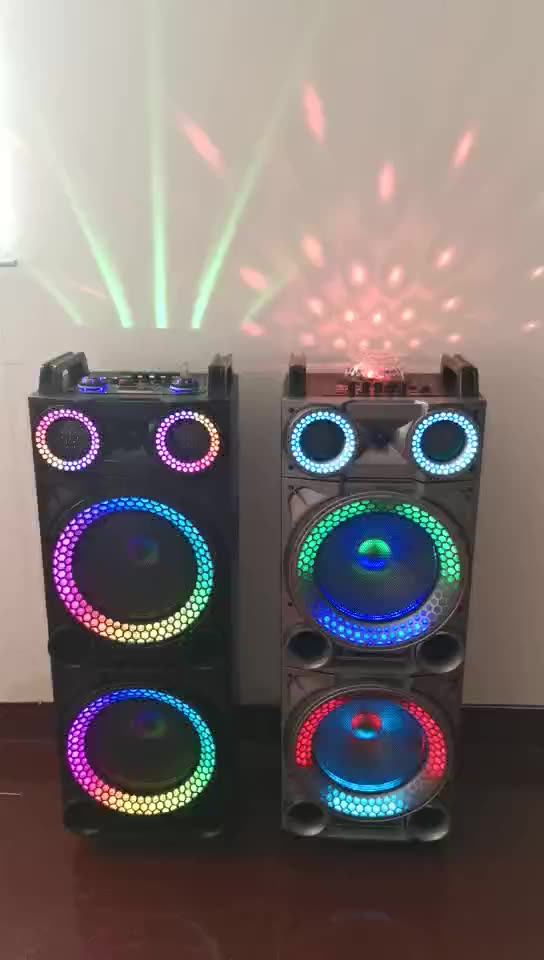 Double 12 Inch Outdoor Wireless Trolley Speaker For Flashing Light Dj