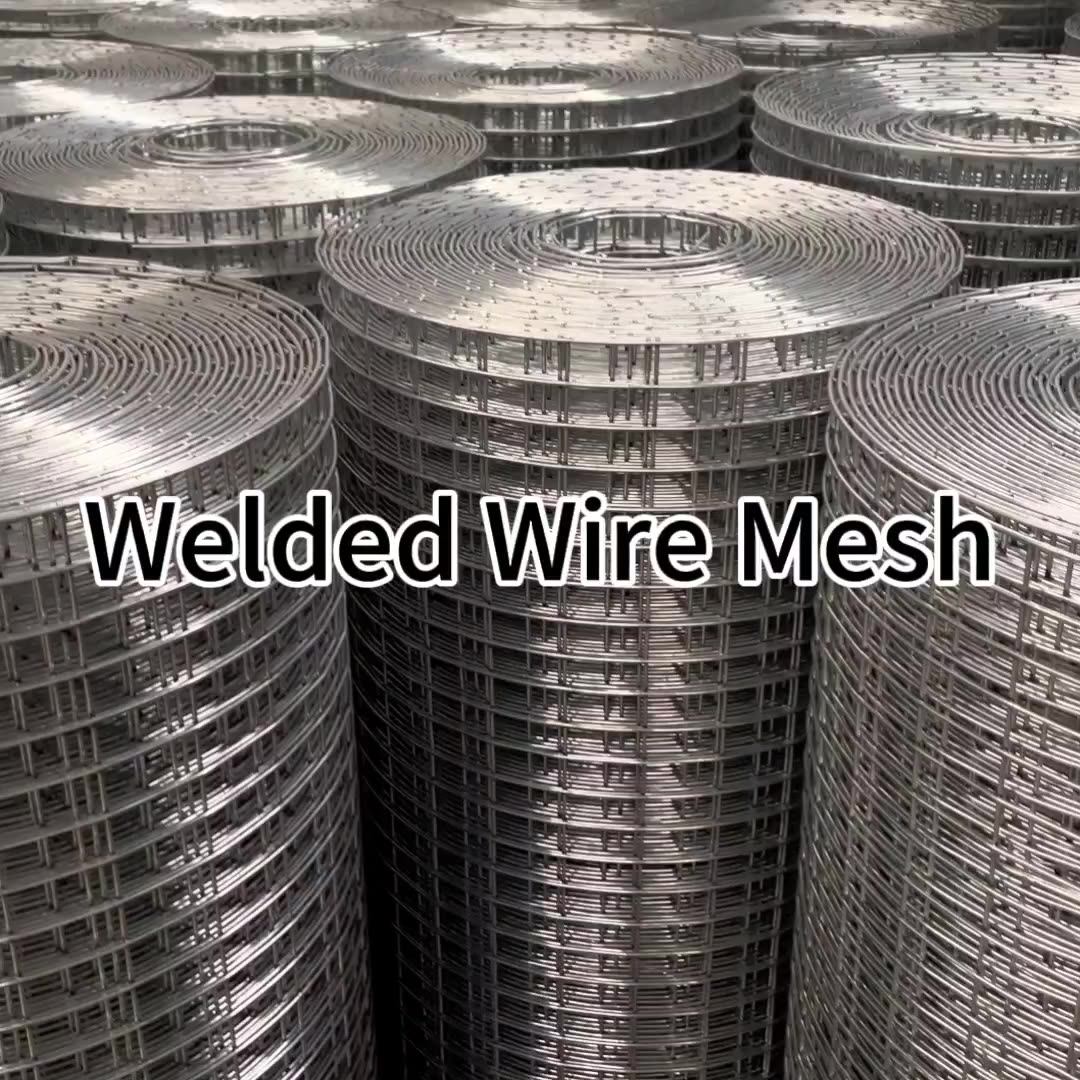 1/2 2mm Galvanized Welded Wire Mesh Rolls For Rabbit Bird Animal Pet Cages Buy Galvanized