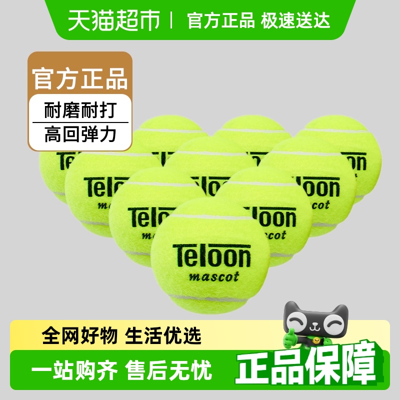テルーン ティアンロン テニスボール 603Rising801Ace 初心者トレーニングボール 高反発 袋入り 耐摩耗性