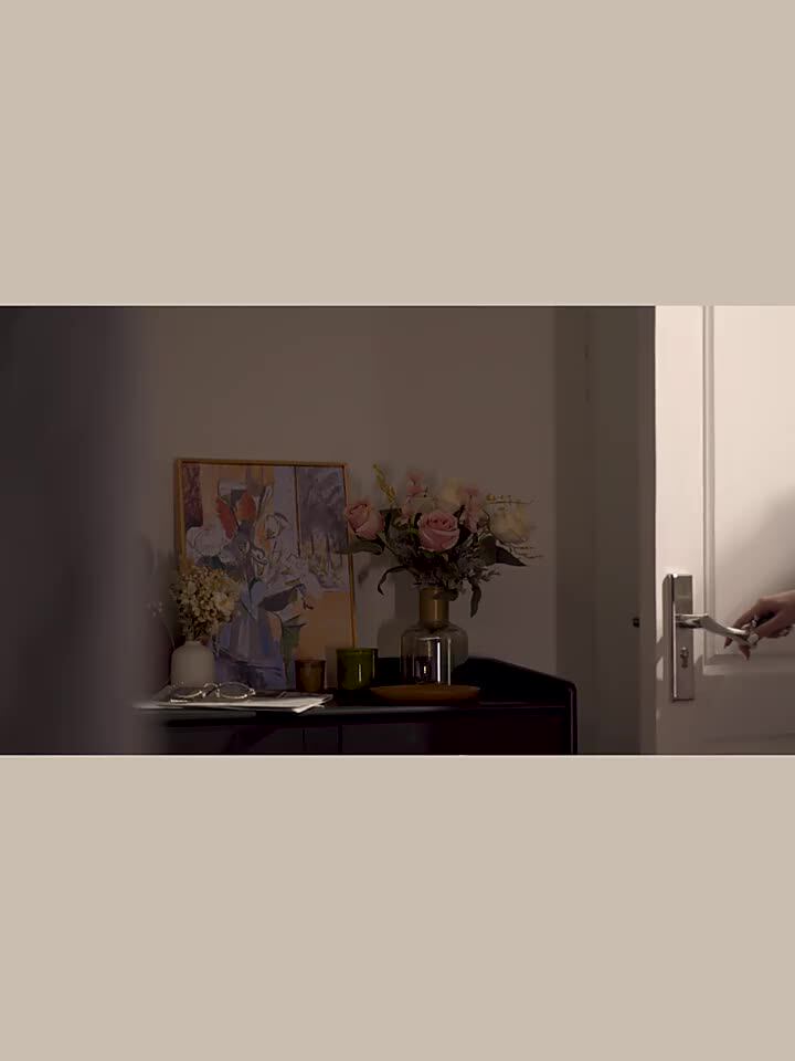 BRUNO BZK-KX01 Japanese smoked cooking box Small baking household multi-function oven Air fried grilled chicken