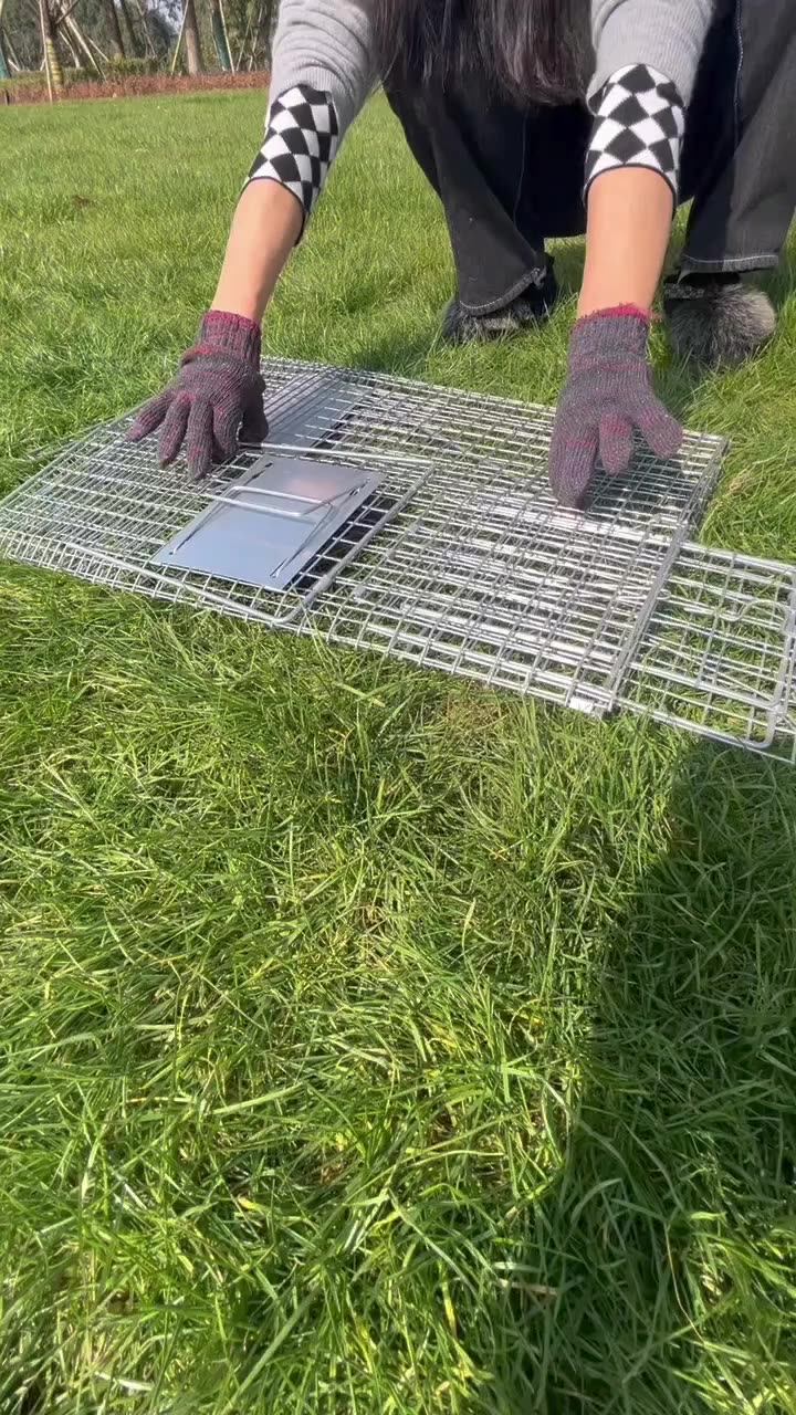 Metal Wire Big Live Animal Trap Cage Fox Raccoon Beaver Wolf Muskrat