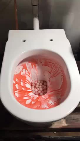 Bloody Vomit In Toilet Bloody Vomit In Toilet