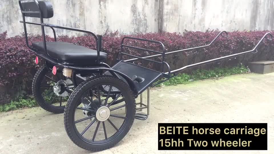 Flat Seat Two Wheel Marathon Horse Cart/ Pony Cart Buy Pony Cart,2