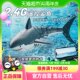 遥控船快艇水上游艇仿真鲨鱼会摇摆船模电动玩具男孩学生生日礼物