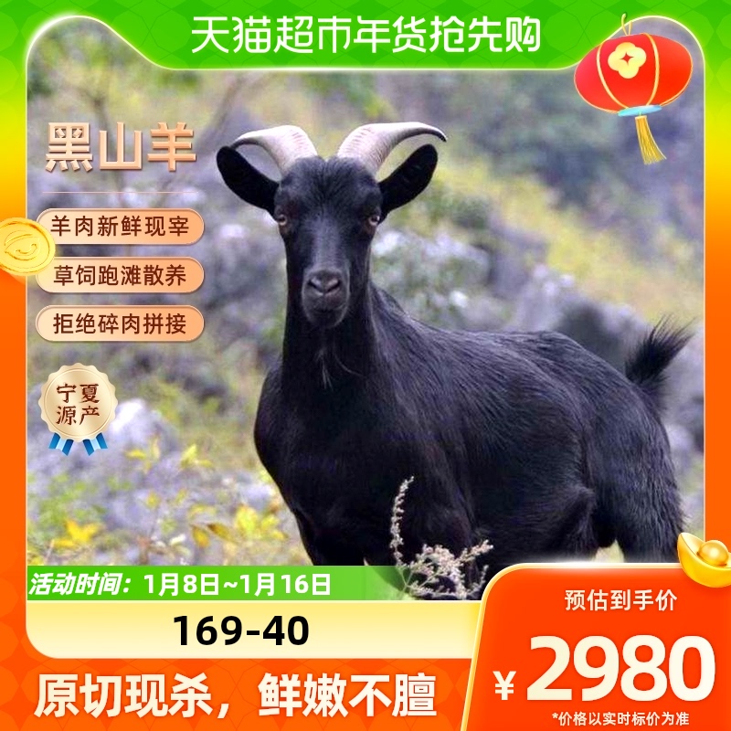 Seeking Beach Fresh Ningxia Beach Mutton Black Goat 32 Catty Goat Meat Fresh Now Killing Whole Sheep Whole Year Goods Gift Box 1 Dress-Taobao