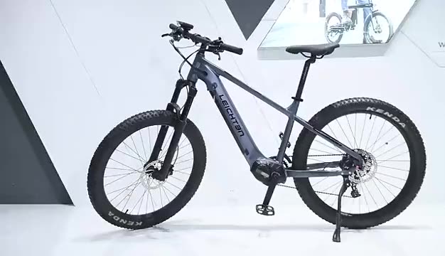 Ebike 29,Mountain Bike Electric Ebike 