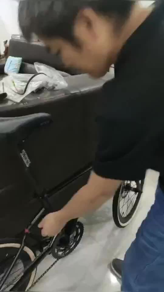 Twitter 22 Inch Carbon Frame 451 Folding Bike Foldable Bicycle 22speed