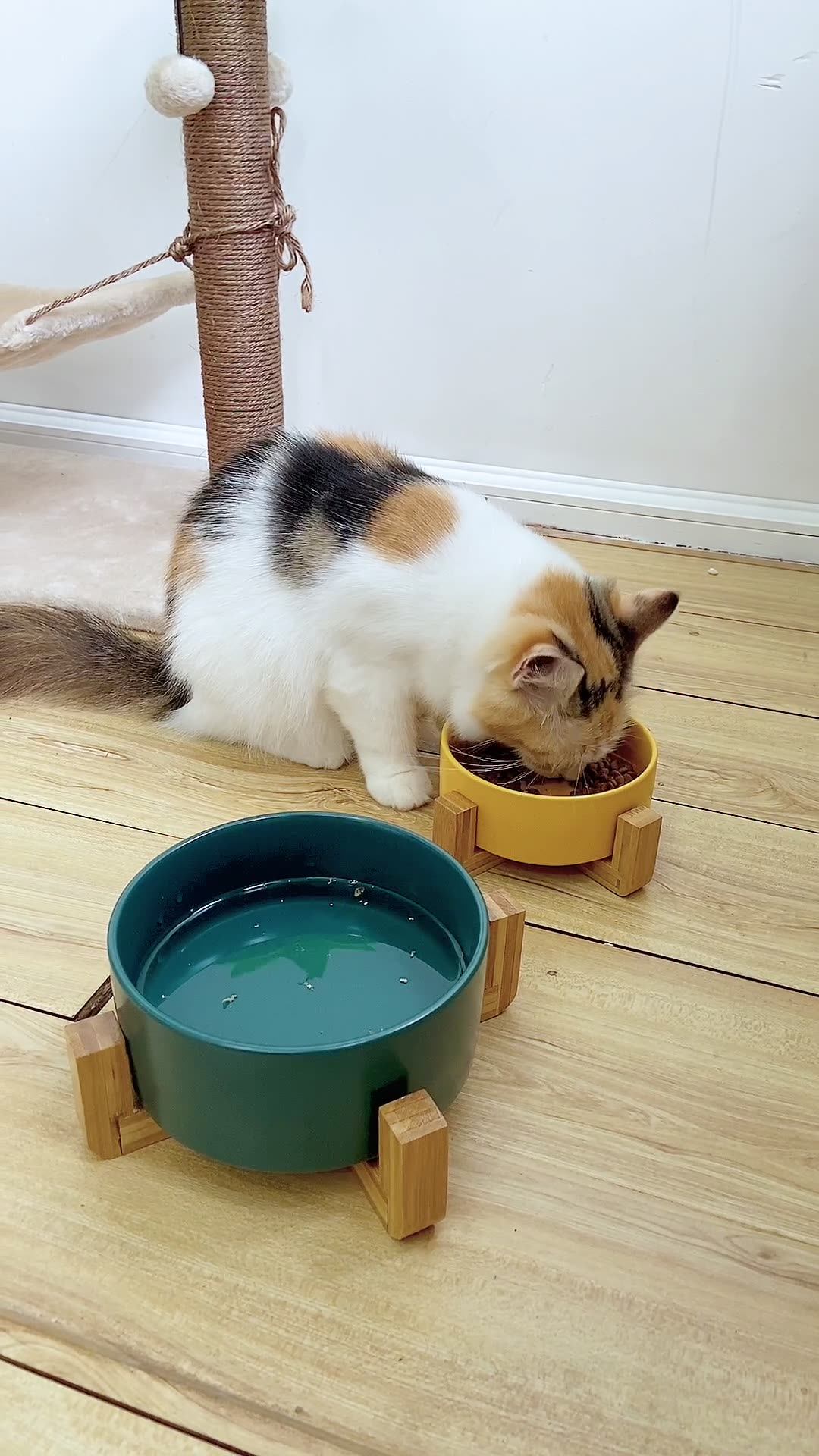 Wholesale Custom Colorful Fashion Ceramic Pet Bowl For Dogs And Cats