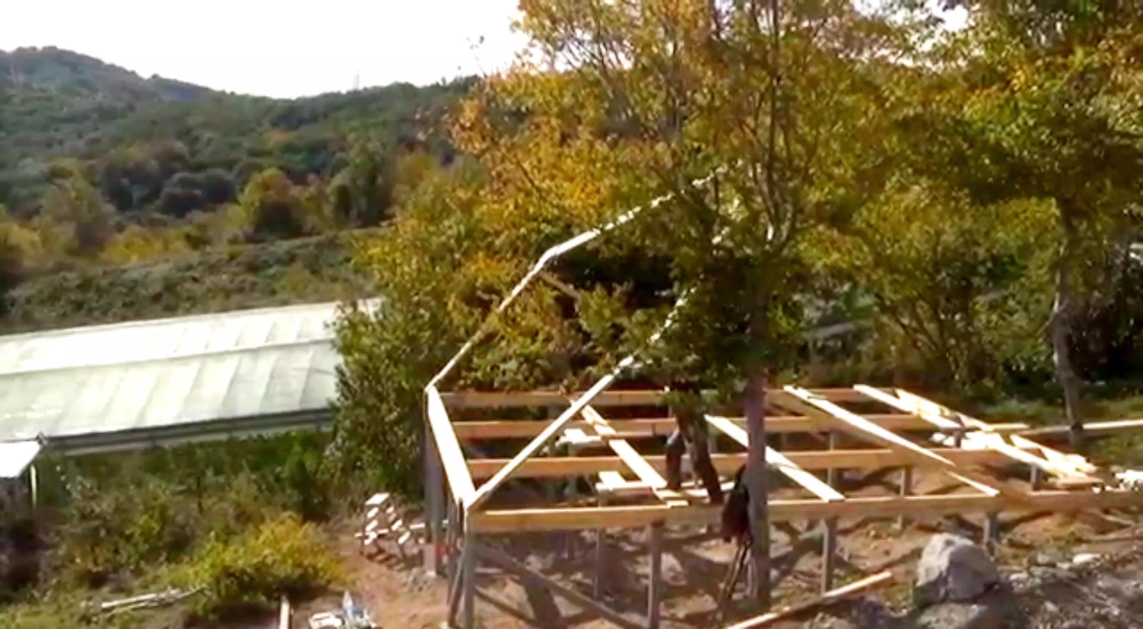 52m2/ Modern Barnhouse/frame House/wood Frame Structure Buy Barn