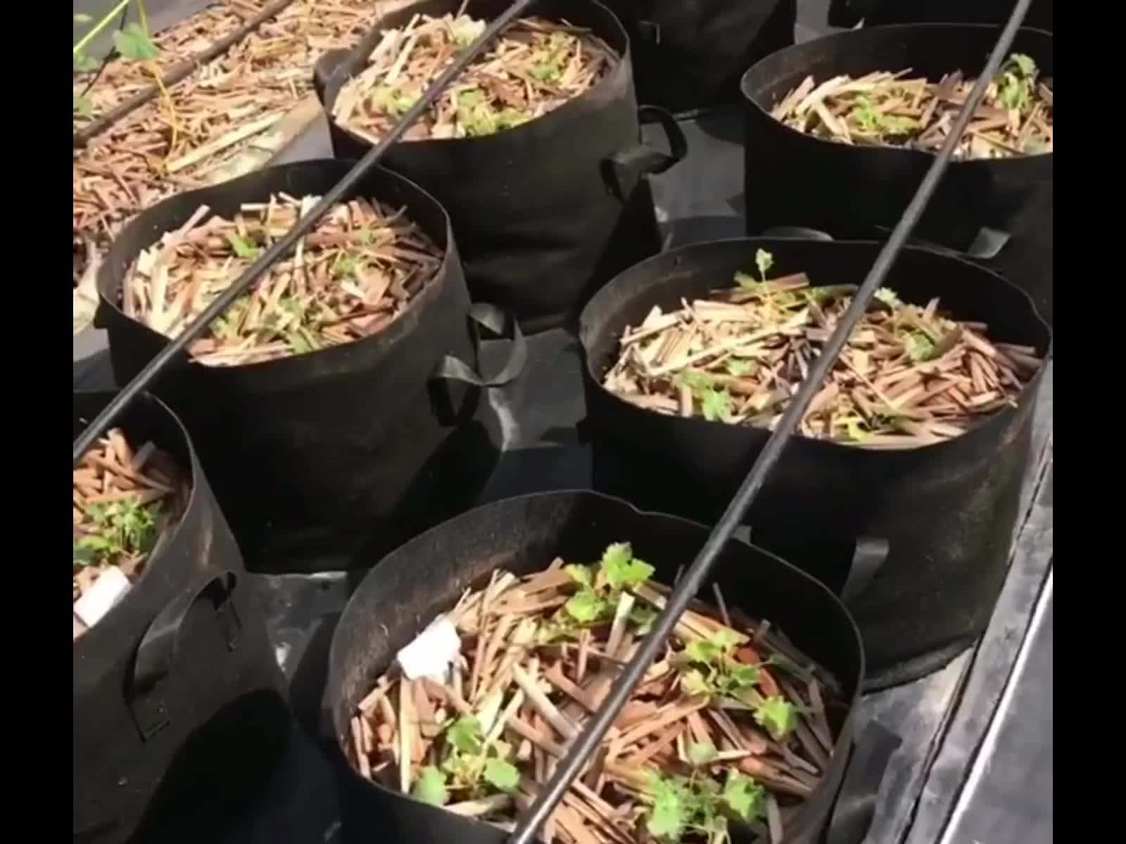 100 Gallon Wholesale Durable Biodegradable Felt Fabric Soil Pots Woven