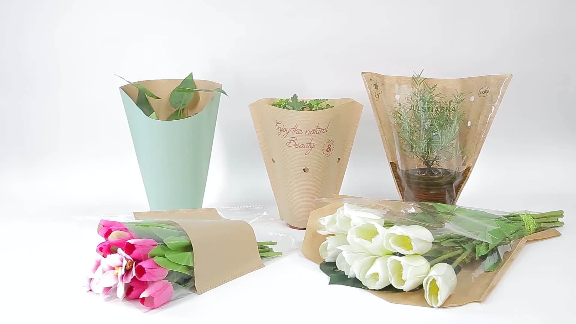 70g Colorful Biodegradable Compostable Plant Vegetable Flower Folded