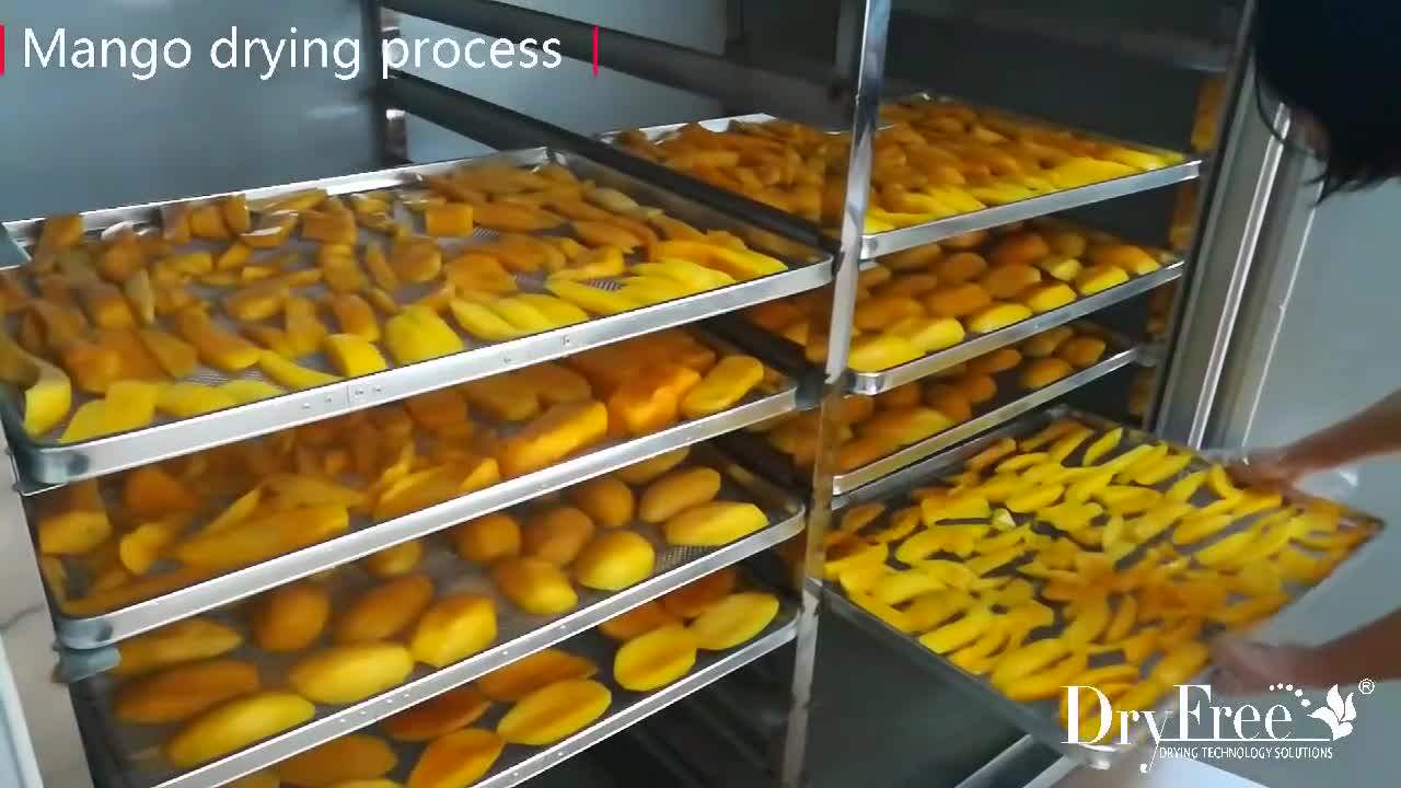 Electric Multifunctional Food Dehydrator And Commercial Vegetable Dryer