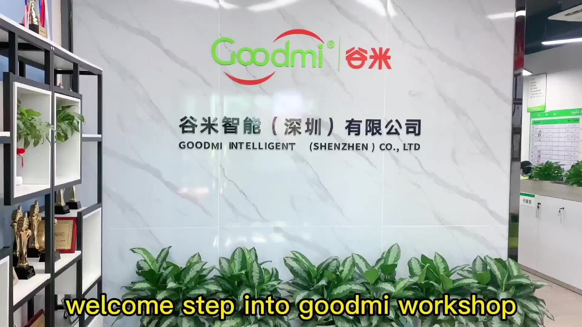 Mini Hearing Aid Earphones For Elderly Hearing Transmit Cheap Price