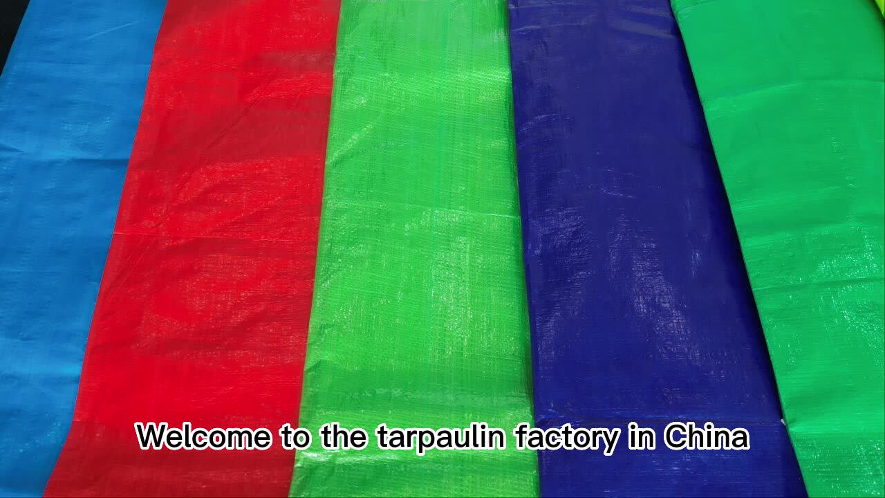 Pe Tarpaulin Blue White Color Coated 100g/125g/gsm 4x5m/4x6m Double