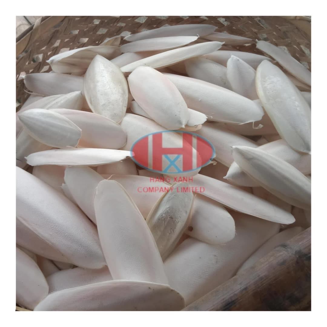 Dried Cuttlefish Bone/ Vietnam Cuttlefish Bone/ Clean Cuttlefish Bone