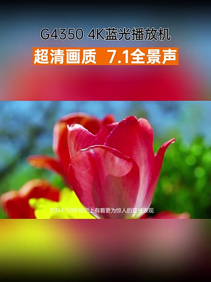 该台蓝光机，真能够让我家老片儿复活成4K大片。