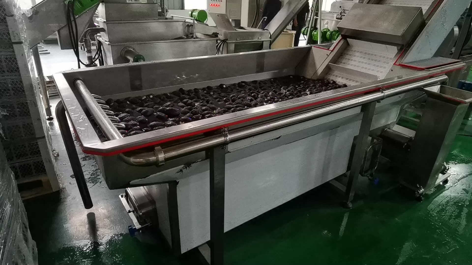 Cpao1000 1000kg/h Virgin Avocado Oil Making Machine Cooking Oil Production Line And Avocado Oil