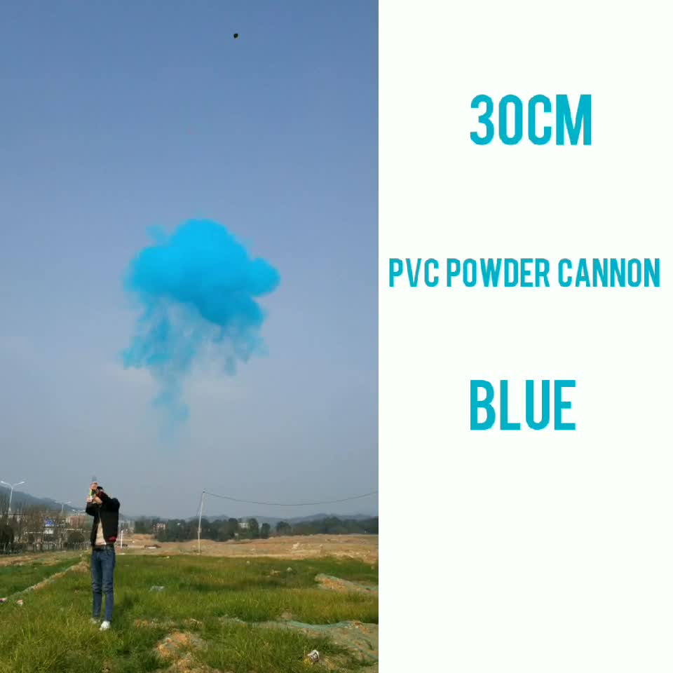 holi powder cannon for sale