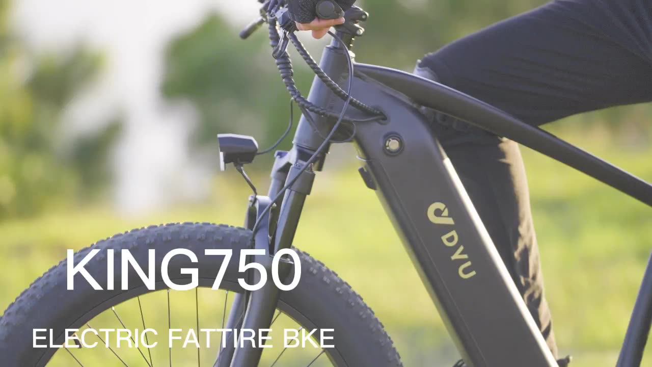 Top Selling OEM 20 26 Inch Steel Frame 26* Full Suspension Fat