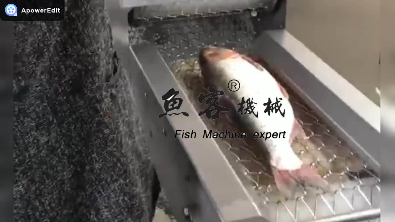 Factory Outlet Fish Scale Remover Fish Processing Cleaning Machine With