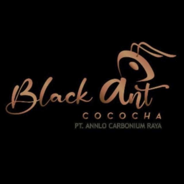 Shisha Hookah Coconut Shell Charcoal 100 Nature Cube Hookah Charcoal