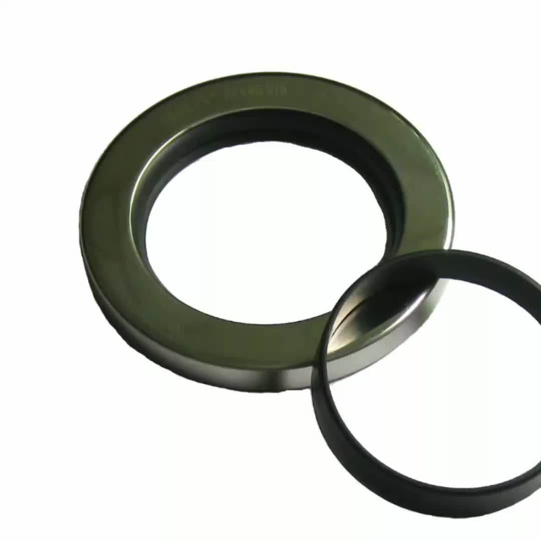 Mechanical Industry Stainless Steel Oil Seal Plastic Shaft Seal For Air