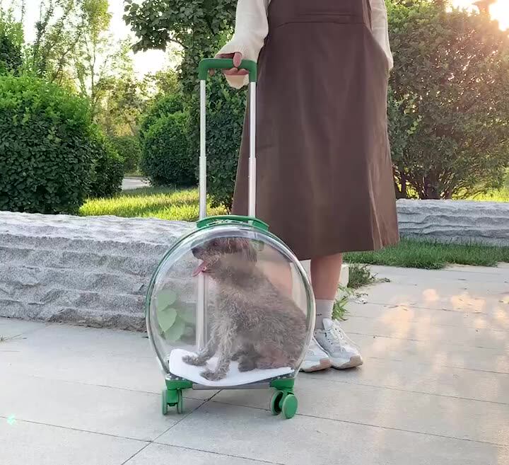 Top Seller Pet Carrier On Wheels Fully Transparent Pet Trolley Carry