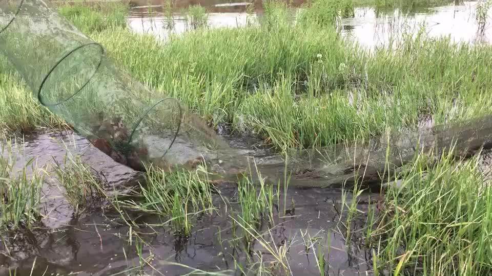 Long Folding Used Commercial Fishing Nets Fish Farming Cage Buy Fish Farming Cage,Used