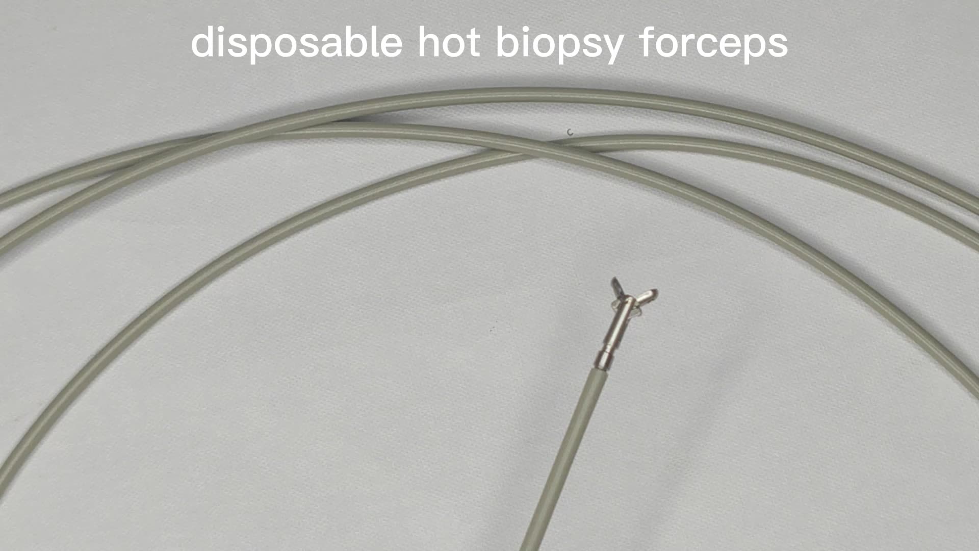 Medical Colonoscopy Biopsy Forceps For Single Use Sterile Disposable