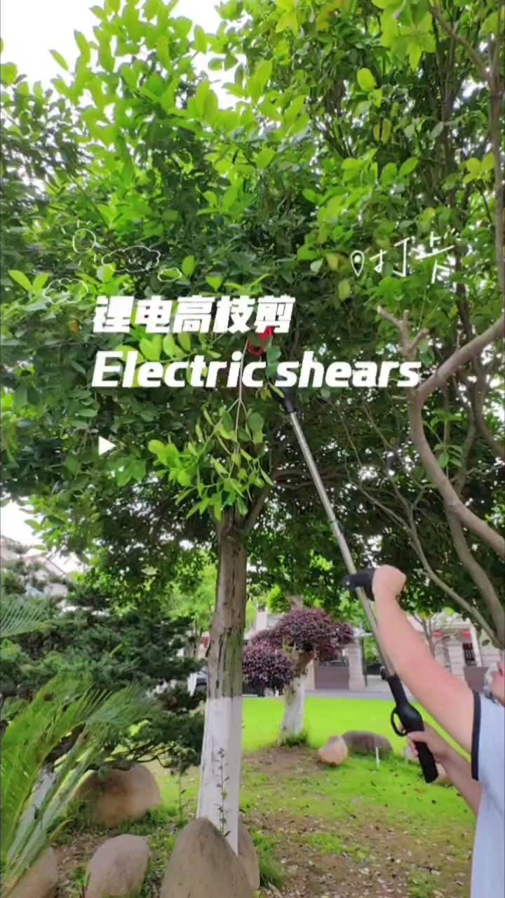 修枝剪充电式电剪刀电动果树剪园林剪高枝剪修剪手持式锂电修剪机-阿里巴巴