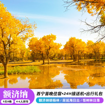 Ejina 9-day tour chartered car Qinggan Large Ring Line Great Northwest Tourism Populus Populus Juyanhai Black City Monster Forest