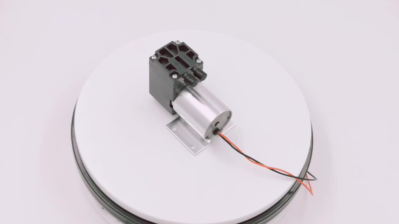 6v24v Dc Small Air Brushless Motor Vacuum Pump Buy Small Vacuum Pump