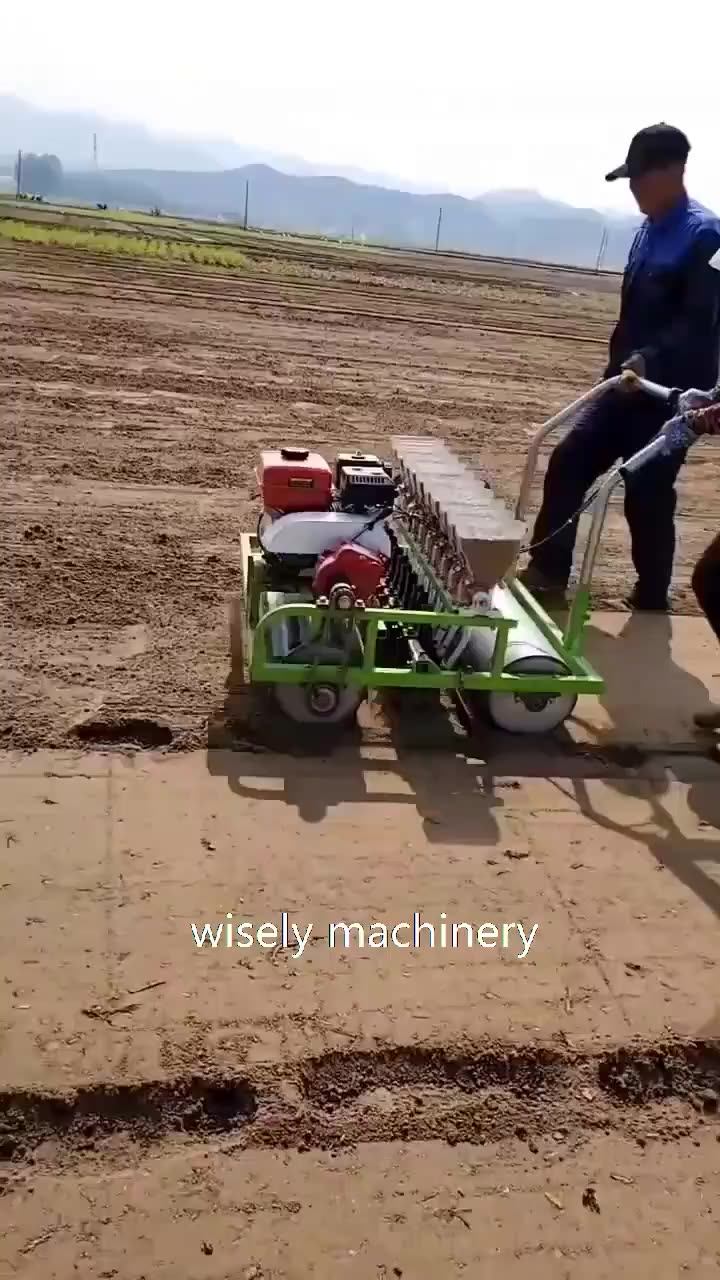 Onion Planting Machine Vegetable Carrot Pepper Seeder Machine Buy