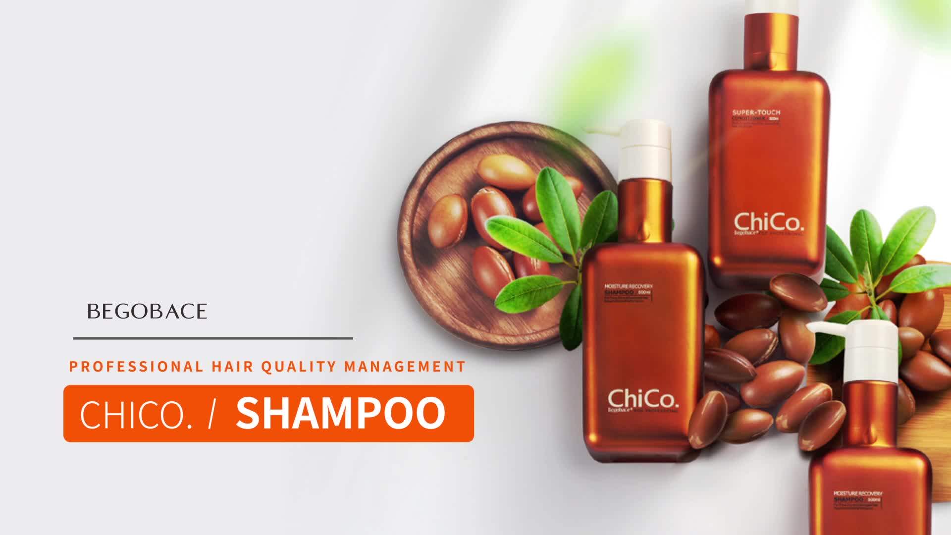 Antioxidant Argan Oil Cleaning And Hydrating Shampoo For Revitalize And