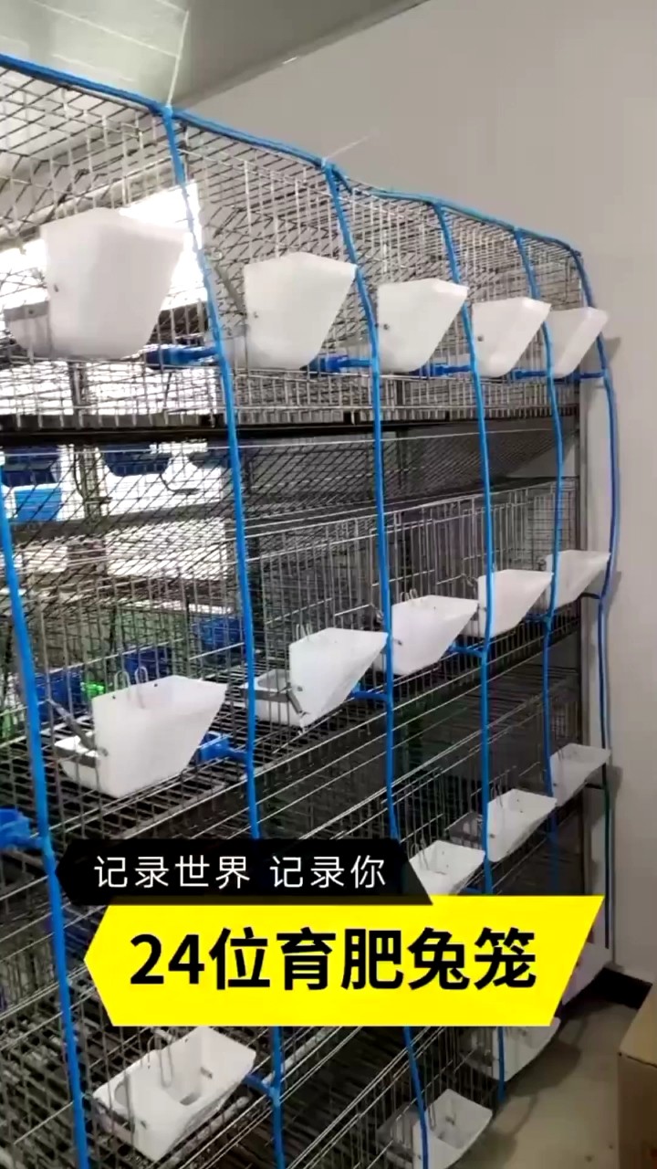 Broiler Poultry Farm House Rabbit Farming Cage For Rabbit Farming