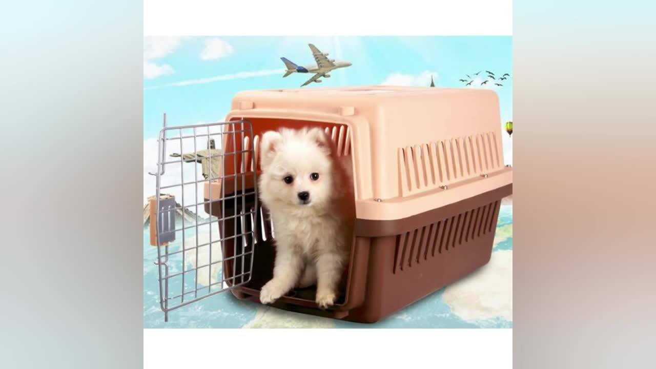Factory Airline Approved Foldable Soft Dog Kennel Buy Dog Kennel