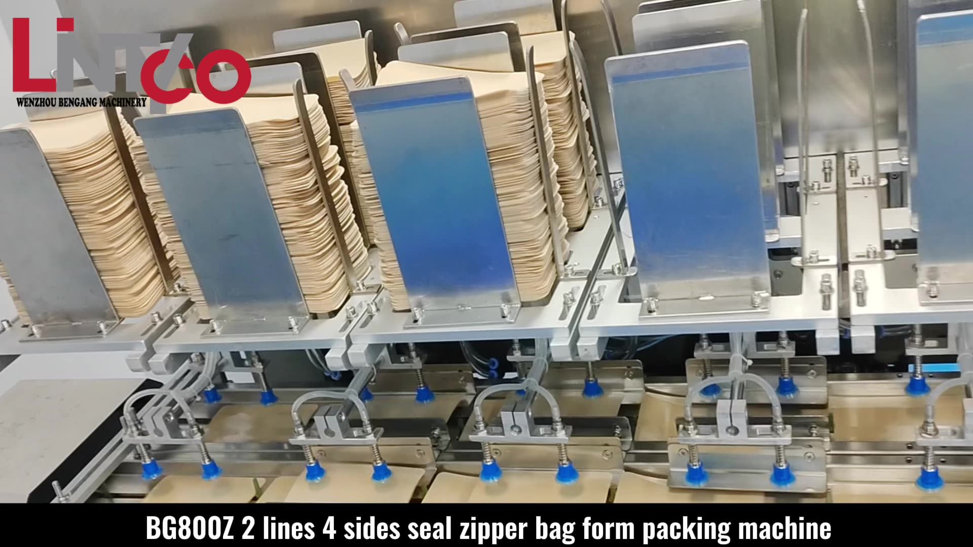 Multifunction Automatic Sea Sedge Nori Zipper Bag Form Packing Machine