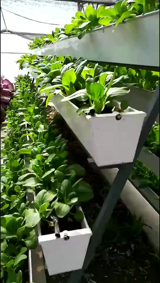 Used Commercial Hydroponic Growing Systems Greenhouse Buy Hydroponic