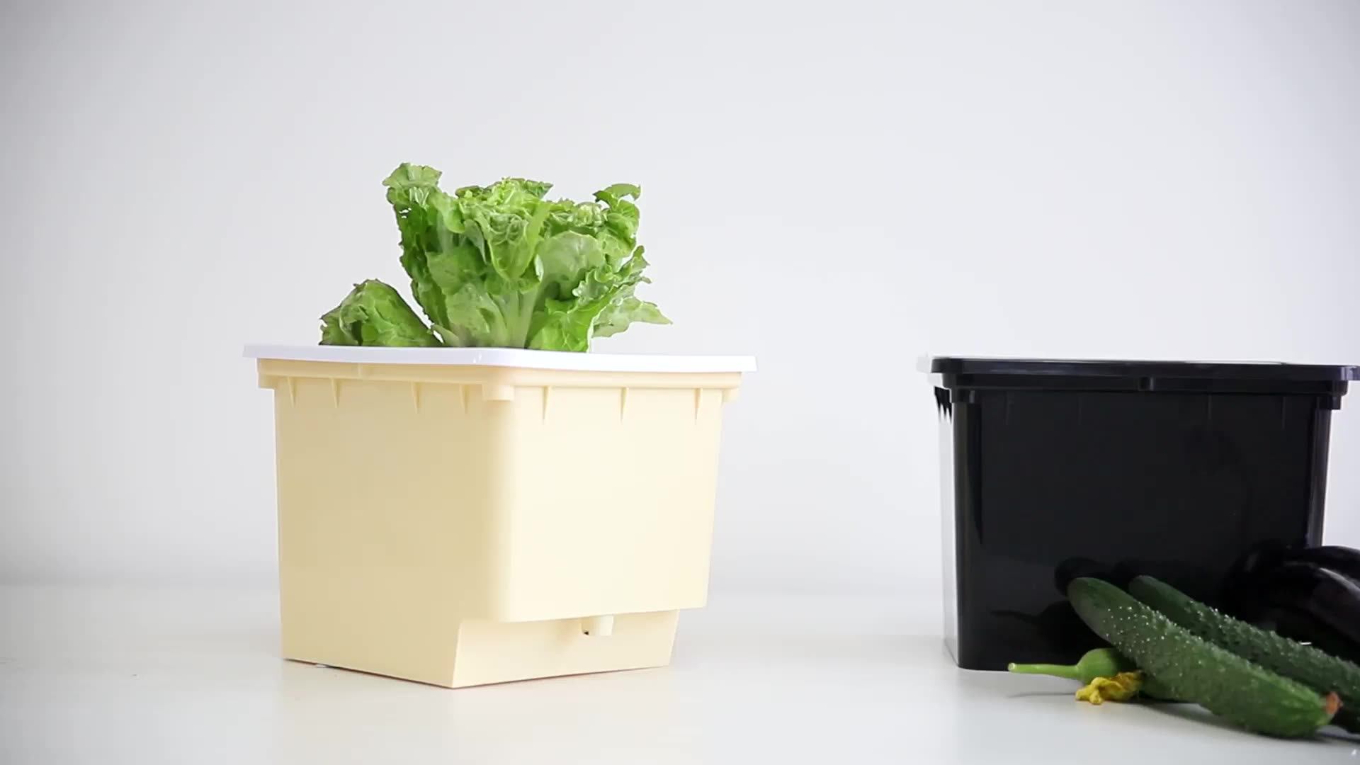 Standard Size 11 Liter Hydroponic Growing Dutch Buckets Square Planting