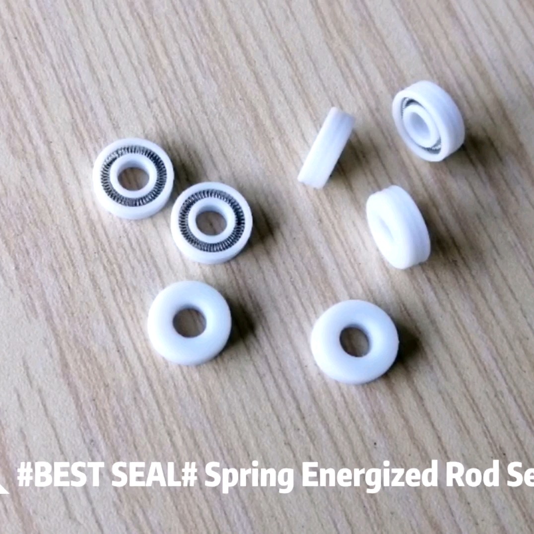 Ptfe Spring Loaded Seals Gas Tank Seal Buy Rod Seal,Spring Rod Seal