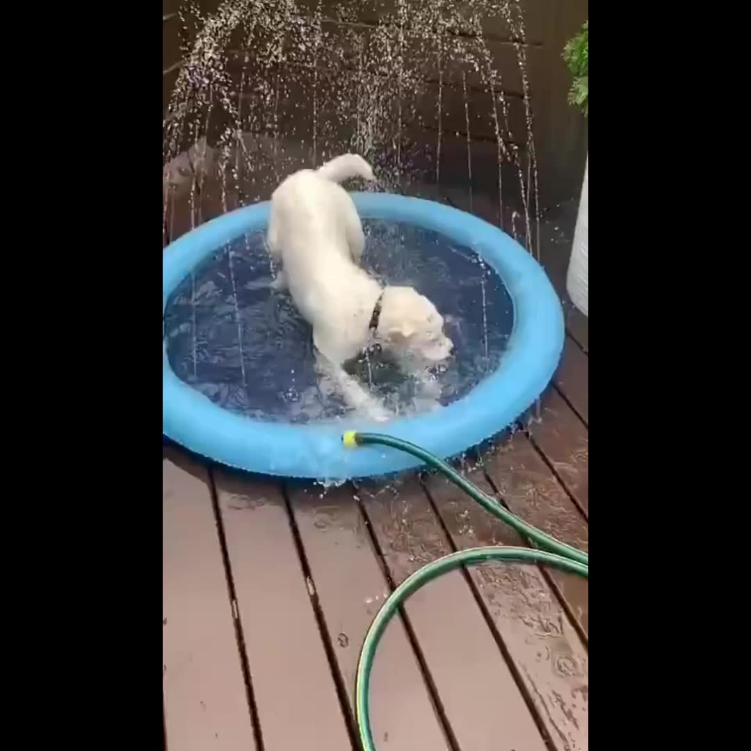 Antislip Splash Sprinkler Pad Interactive Movement Summer Fun Water Dog