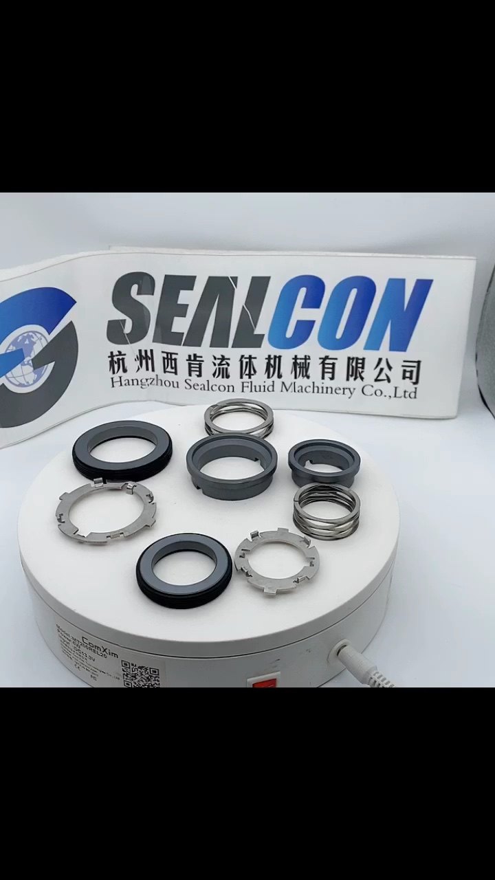 Mechanical Seal For Inoxpa Prolac Hcp Pumps Hcp40/hcp50/hcp65/hcp80