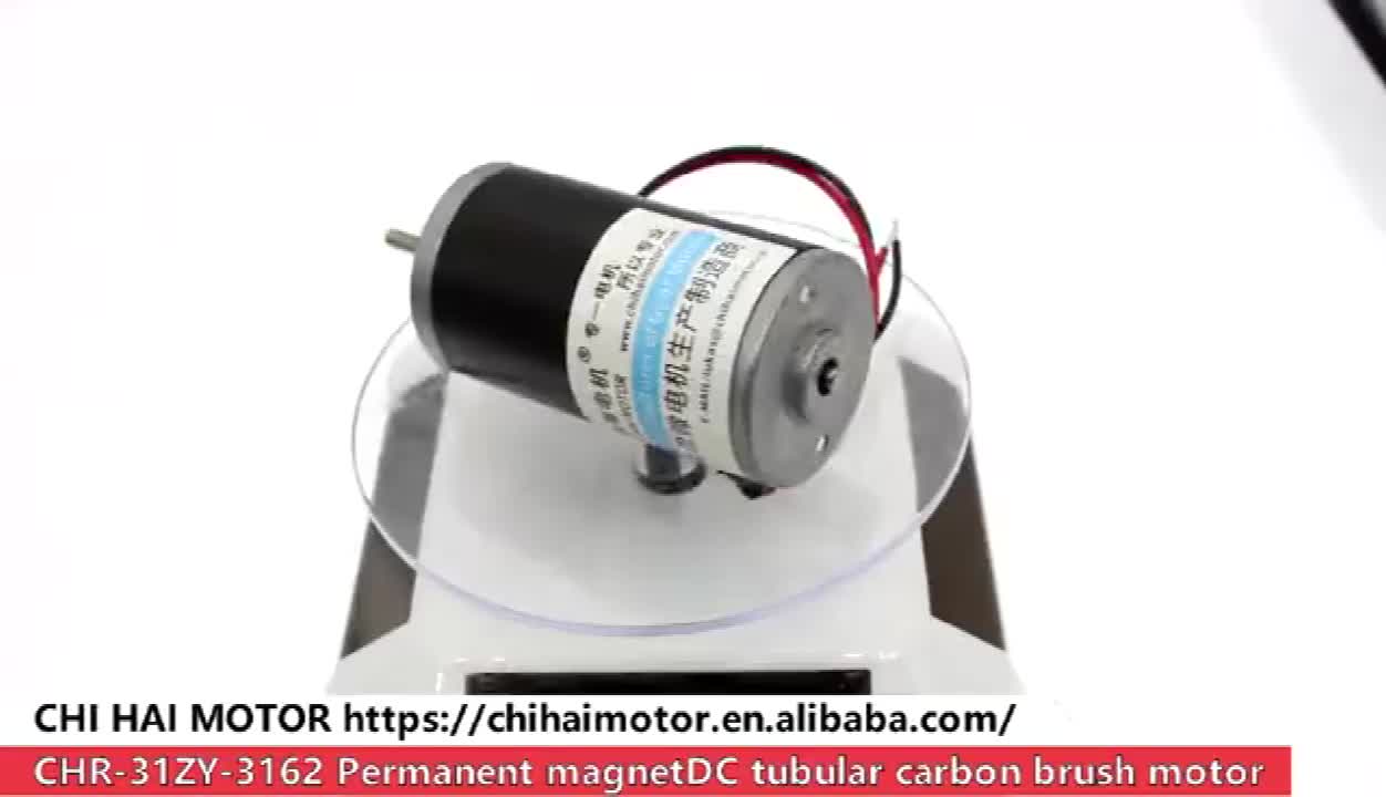 31ZY Permanent Magnetic DC Carbon Brush Motor CW/CCW (24V
