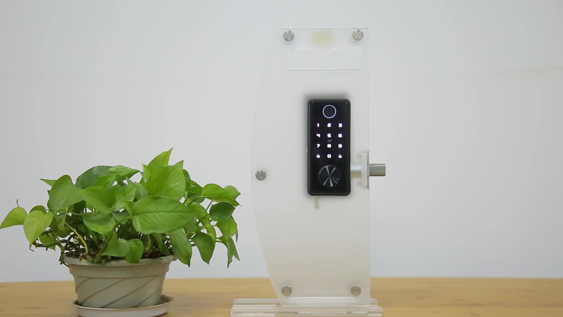 Tuya Smart Lock App Mortise Biometric Fingerprint Ttlock Wifi Enabled