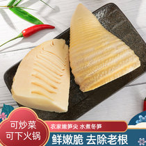 Fresh winter bamboo shoots 5 catties packed natural wild farm bamboo shoots clear water bamboo shoots boiled bamboo shoots spring bamboo shoots 500g*5 bags