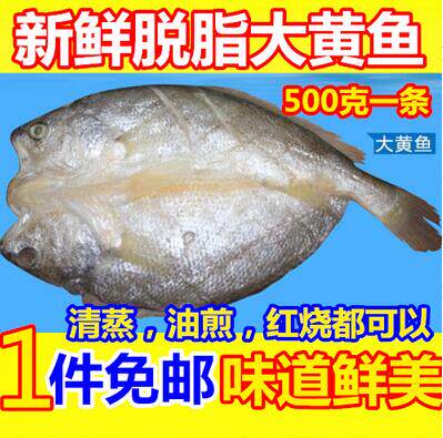 Mellow yellow croaker, large yellow croaker, 500 grams, one meal, fresh seafood and aquatic products