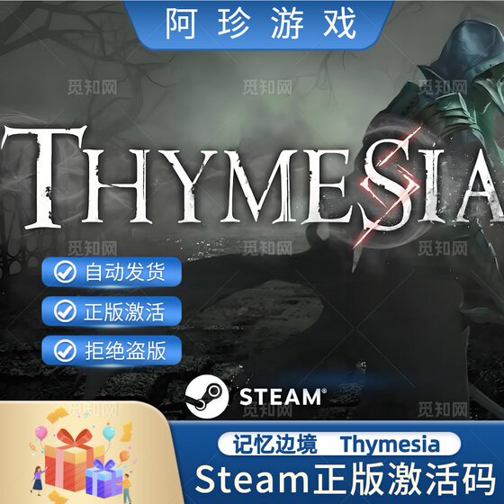 Steam Genuine Memory Frontier Thymesia China Region Global Region Activation Code Cdkey