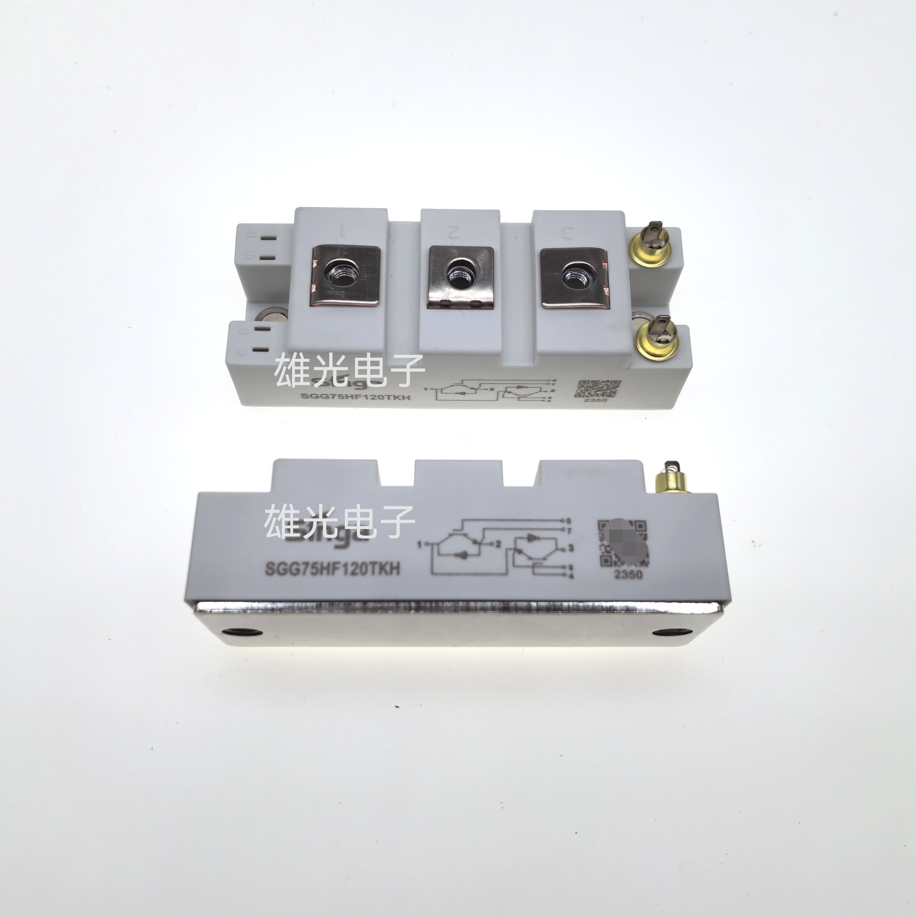 SGG100HF120TKH, SGG100-12CS1, SGG75HF120TKH, SGG75-12CS1, SGG150 Изображение 1