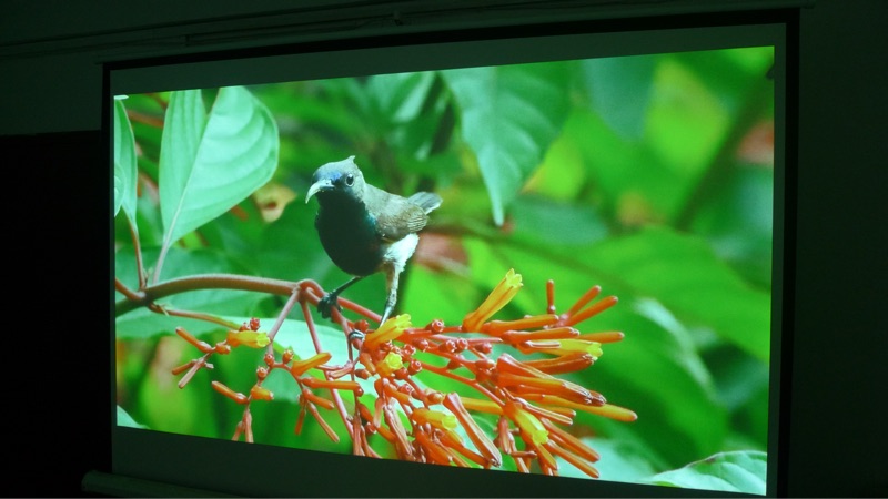 Máy chiếu HD gia đình 1080P đôi HDMI giá trị sản phẩm mới - Máy chiếu